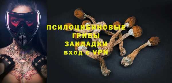 трава Беломорск