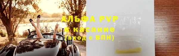 гидра Белокуриха