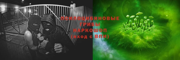 трава Беломорск