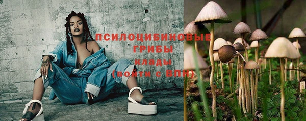 гидра Белоозёрский