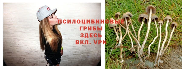 гидра Белокуриха