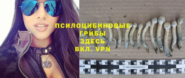 трава Беломорск