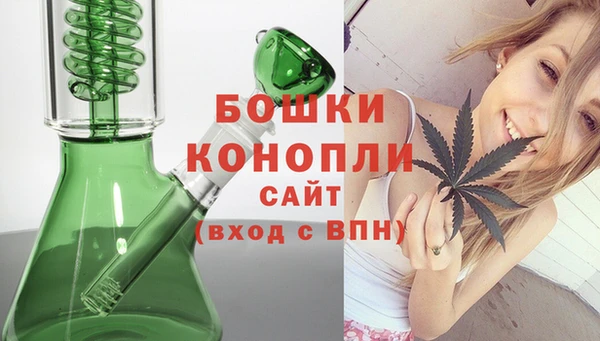 гидра Белокуриха