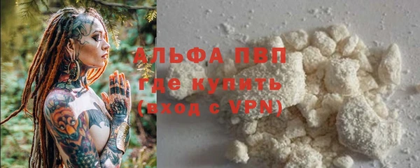 гидра Белокуриха