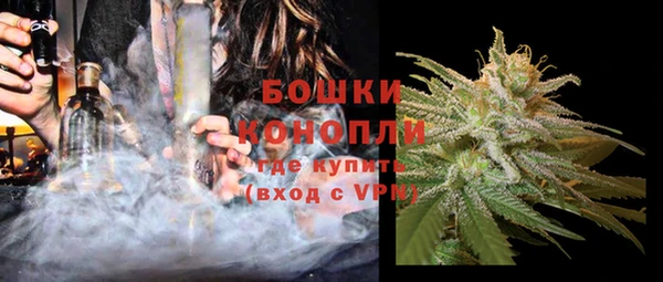 гидра Белоозёрский