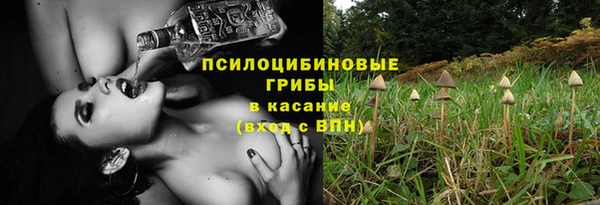 трава Беломорск