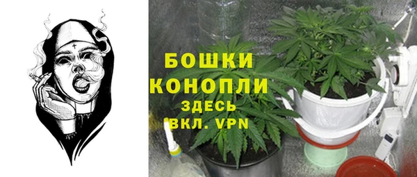 гидра Белокуриха