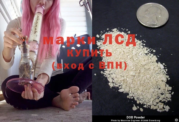 трава Беломорск