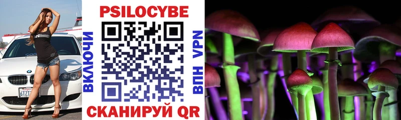 где продают наркотики  Шуя  Псилоцибиновые грибы Psilocybine cubensis 